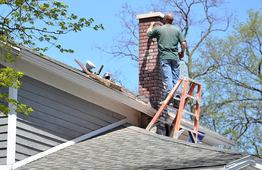 Chimney & Fireplace Inspections Services in Marysville, WA